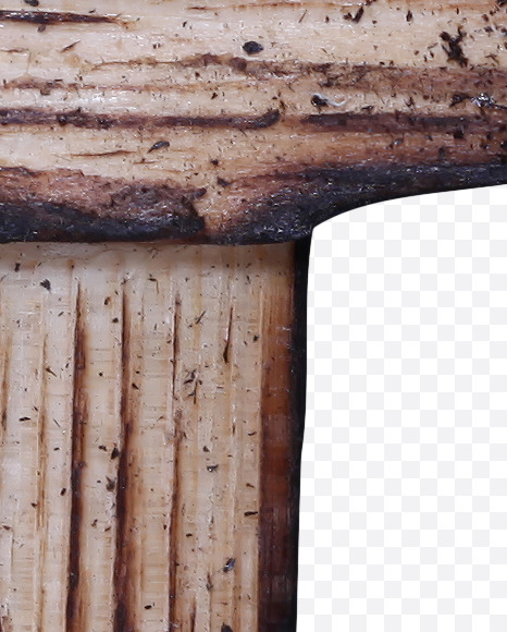 Letter Q from Burned Planks Font on Yellow Images Creative Fonts - S38901