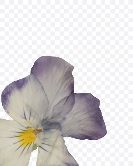 Letter W from Herbarium Font on Yellow Images Creative Fonts - S39197