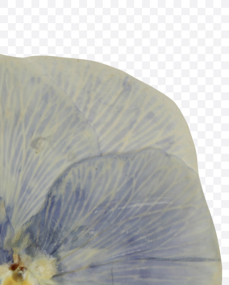 % from Herbarium Font on Yellow Images Creative Fonts - S39217