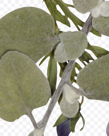 & from Herbarium Font on Yellow Images Creative Fonts - S39216