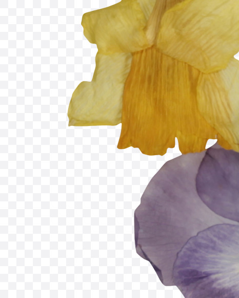 5 from Herbarium Font on Yellow Images Creative Fonts - S39205