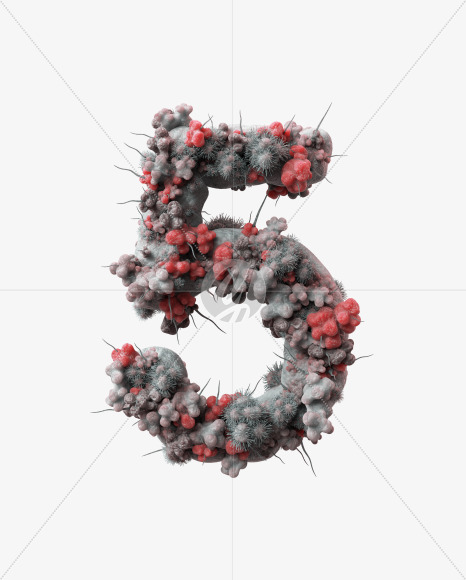 5