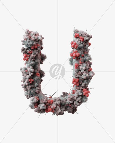 U