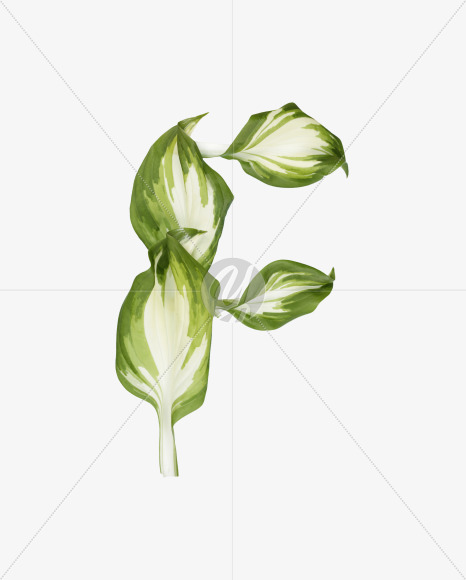 F