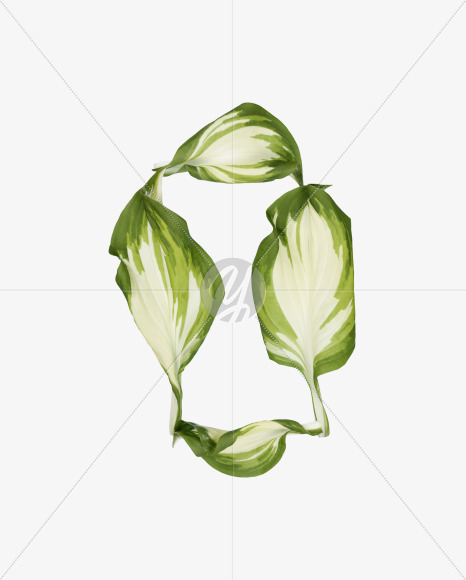 0
