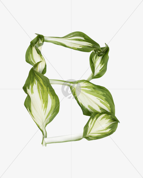 B