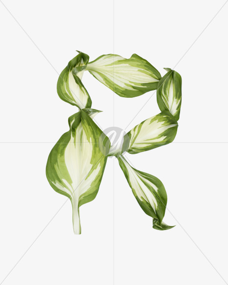 R