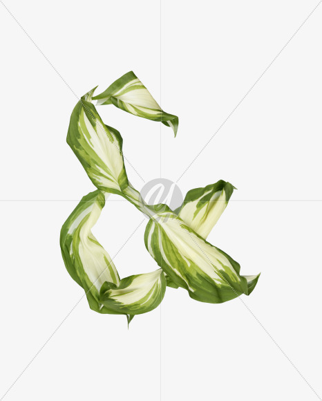 &