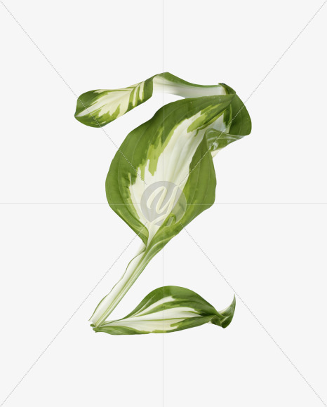 Z
