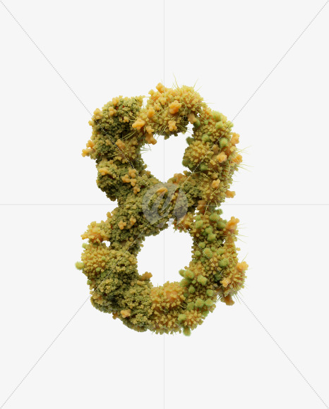8