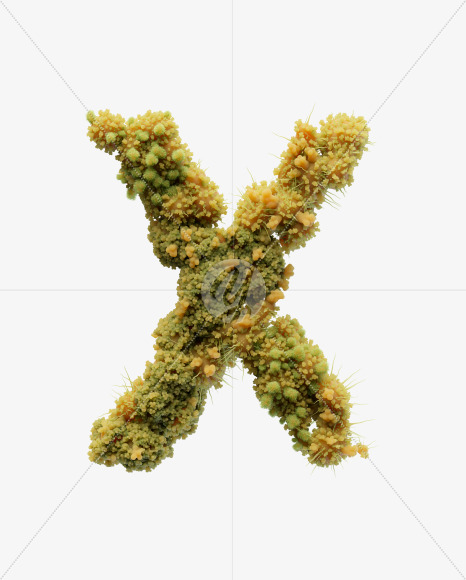 X