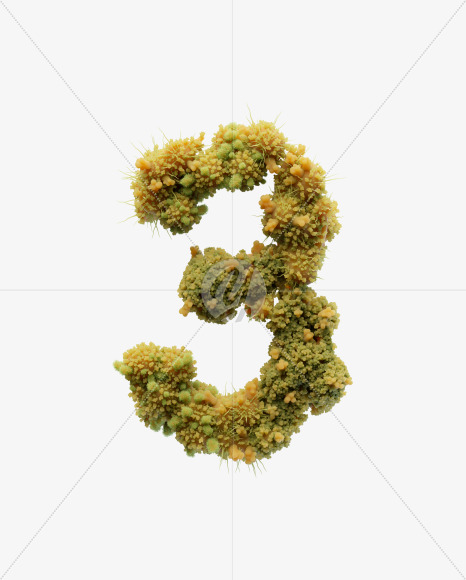 3