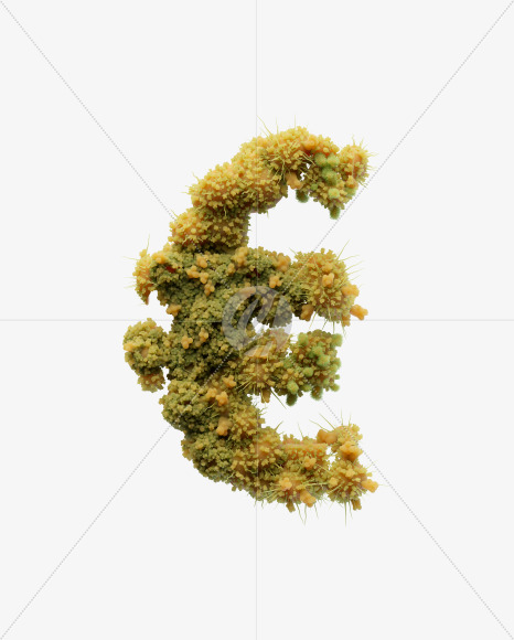 euro