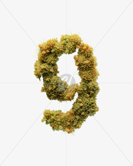 9