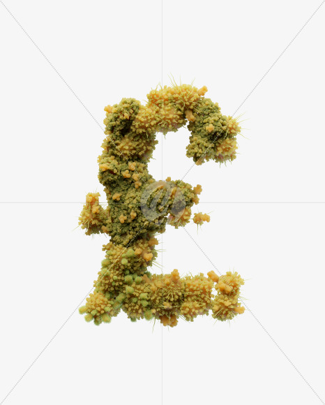 pound