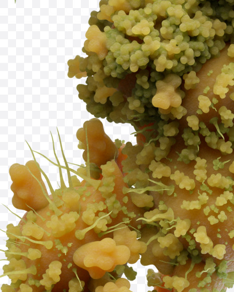 2 from Flu Font on Yellow Images Creative Fonts - S39743