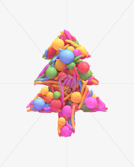 Conifer