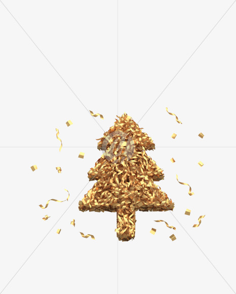 Conifer
