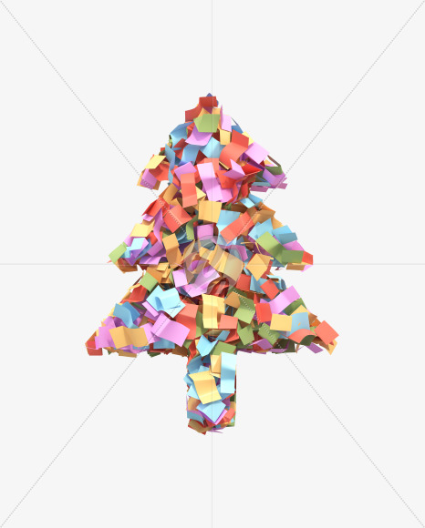 Conifer