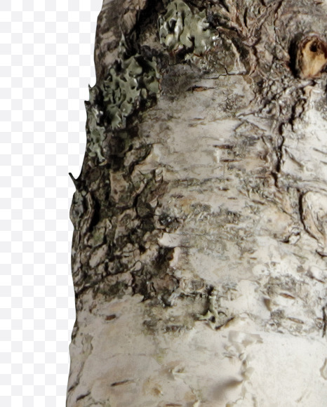 Letter Q from Russian soul on Yellow Images Creative Fonts - S41138