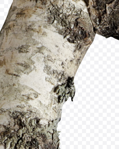 Letter O from Russian soul on Yellow Images Creative Fonts - S41136