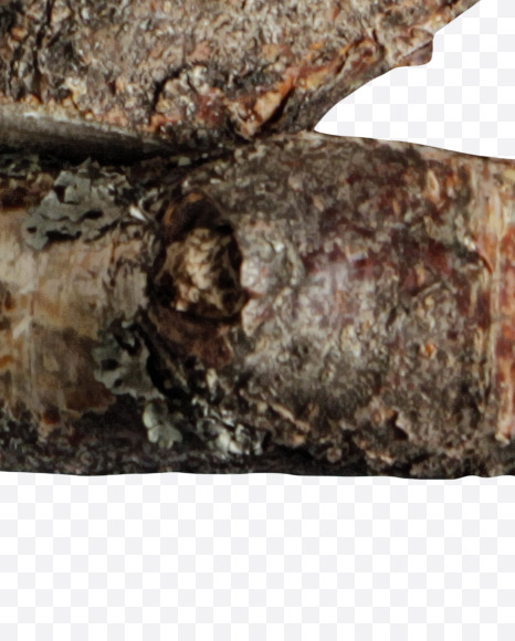 2 from Russian soul on Yellow Images Creative Fonts - S41149