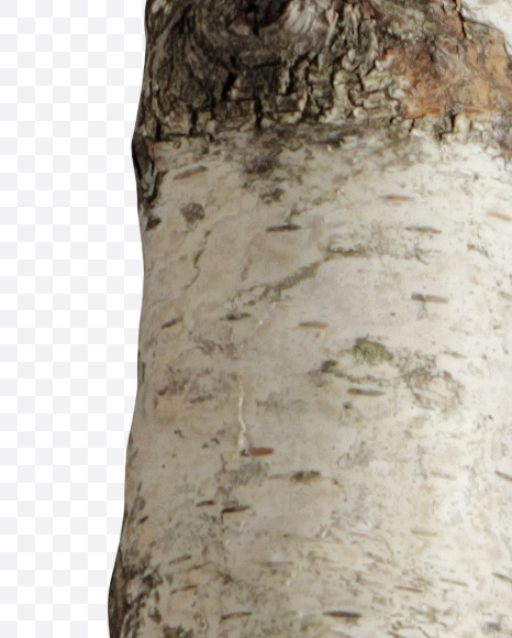 Letter B from Russian soul on Yellow Images Creative Fonts - S41123