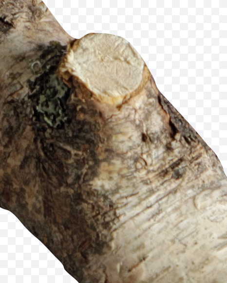 Letter X from Russian soul on Yellow Images Creative Fonts - S41145