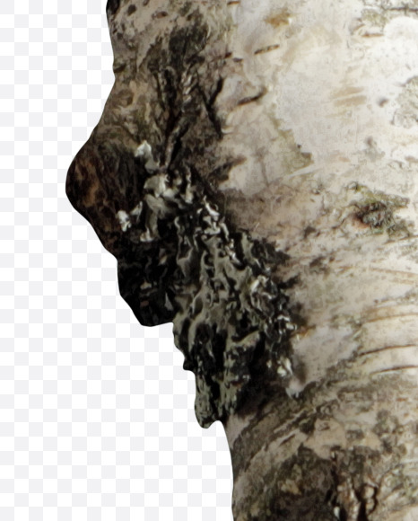 ( from Russian soul on Yellow Images Creative Fonts - S41164