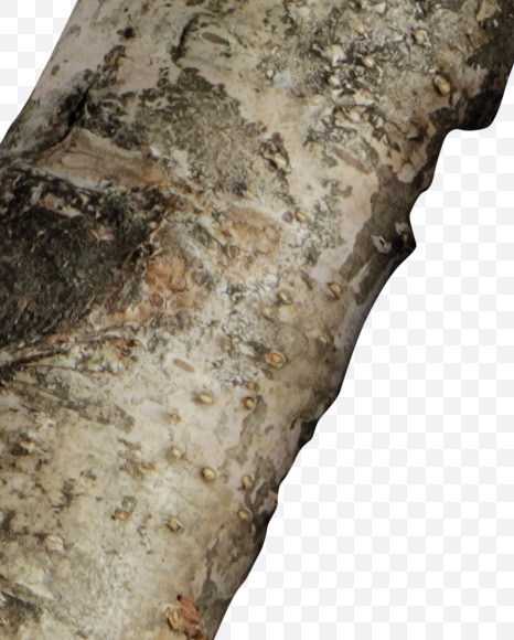 @ from Russian soul on Yellow Images Creative Fonts - S41162