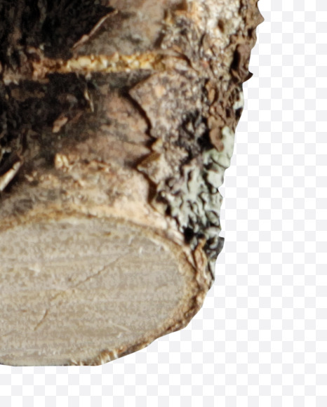 Letter V from Russian soul on Yellow Images Creative Fonts - S41143