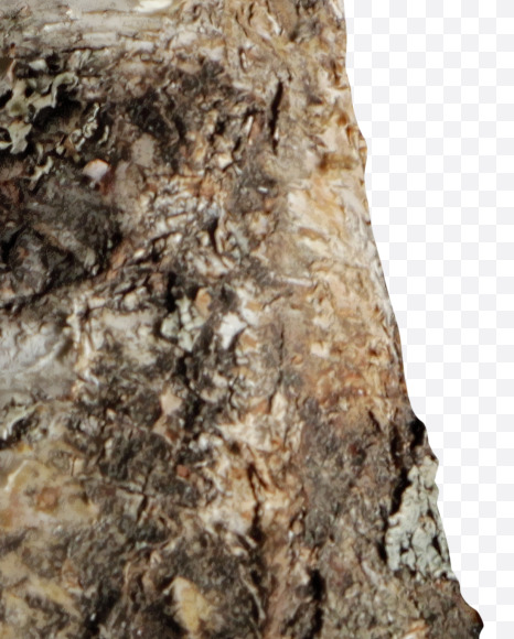 Letter L from Russian soul on Yellow Images Creative Fonts - S41133