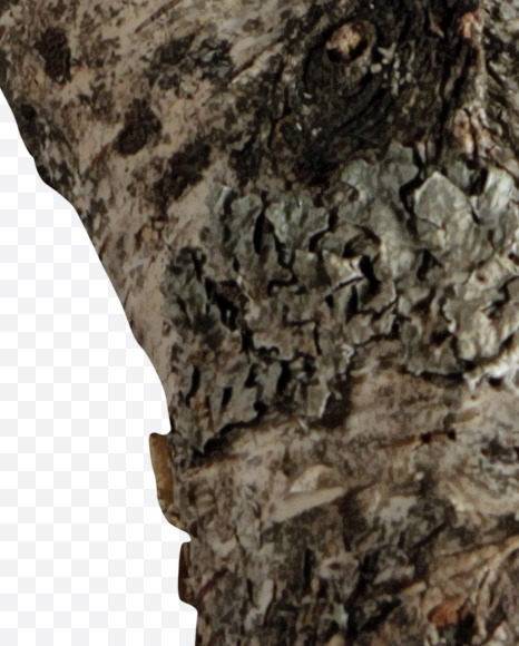 Letter Y from Russian soul on Yellow Images Creative Fonts - S41146