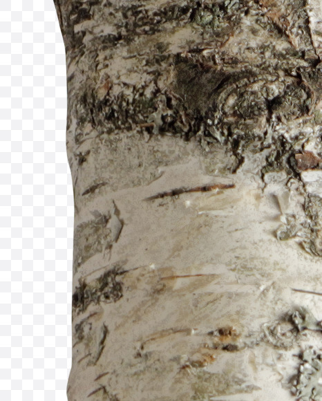 Letter P from Russian soul on Yellow Images Creative Fonts - S41137