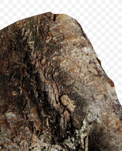 Letter N from Russian soul on Yellow Images Creative Fonts - S41135