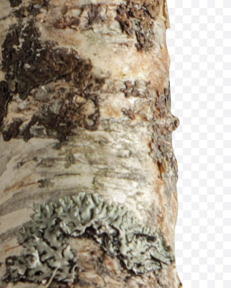 0 from Russian soul on Yellow Images Creative Fonts - S41157