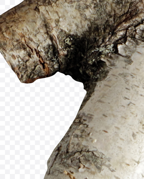 symbols from Russian soul on Yellow Images Creative Fonts - S41166