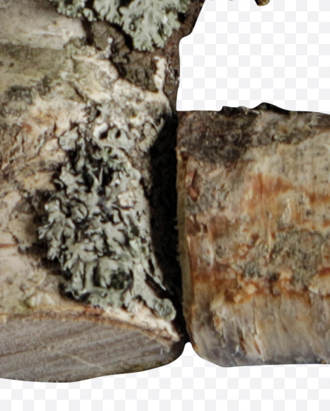 Letter G from Russian soul on Yellow Images Creative Fonts - S41128