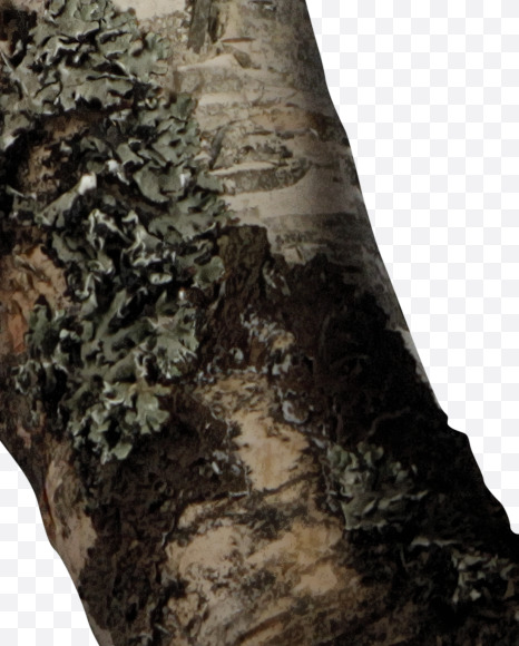 Letter W from Russian soul on Yellow Images Creative Fonts - S41144