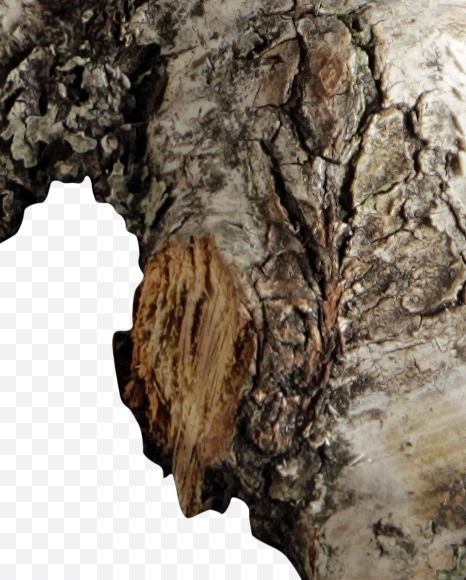 Letter M from Russian soul on Yellow Images Creative Fonts - S41134