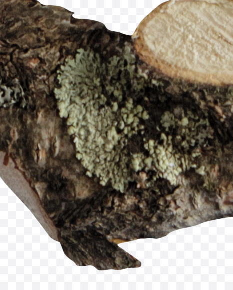 Letter S from Russian soul on Yellow Images Creative Fonts - S41140