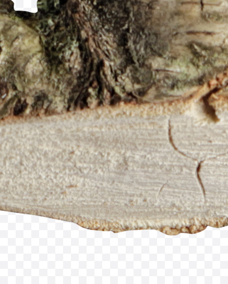 Letter J from Russian soul on Yellow Images Creative Fonts - S41131