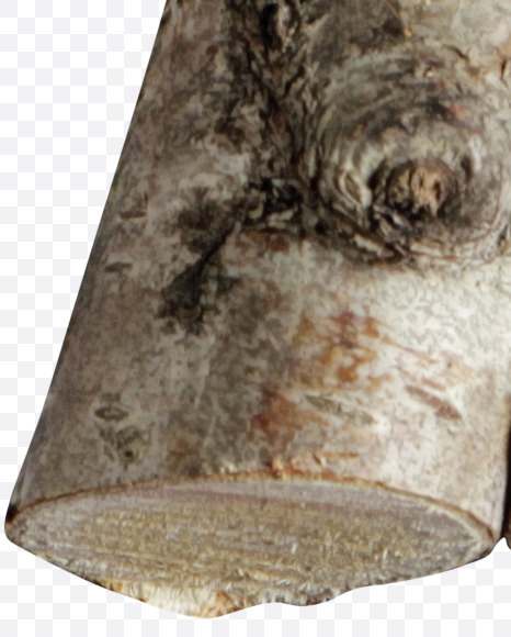 8 from Russian soul on Yellow Images Creative Fonts - S41155