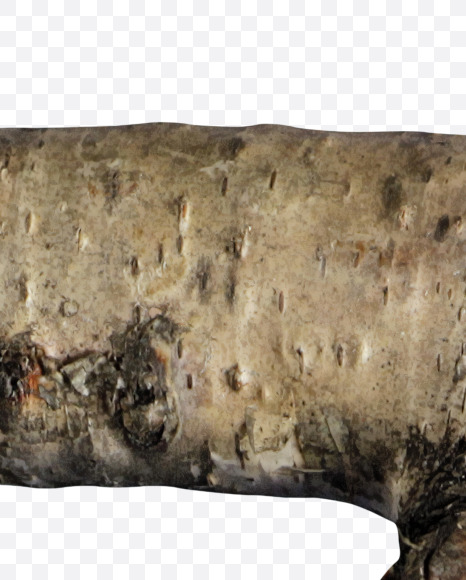 3 from Russian soul on Yellow Images Creative Fonts - S41150