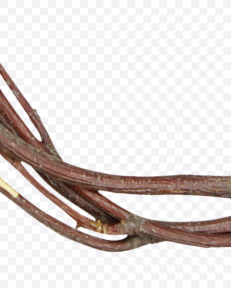 Letter J from Twigs Brown Font on Yellow Images Creative Fonts - S41177