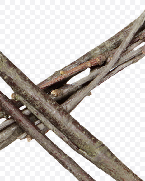 8 from Twigs Brown Font on Yellow Images Creative Fonts - S41201