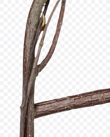 6 from Twigs Brown Font on Yellow Images Creative Fonts - S41199