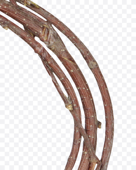 Letter B from Twigs Brown Font on Yellow Images Creative Fonts - S41169