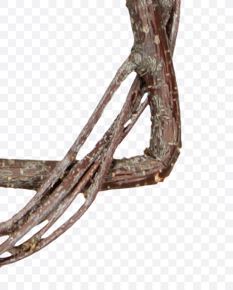 Letter S from Twigs Brown Font on Yellow Images Creative Fonts - S41186