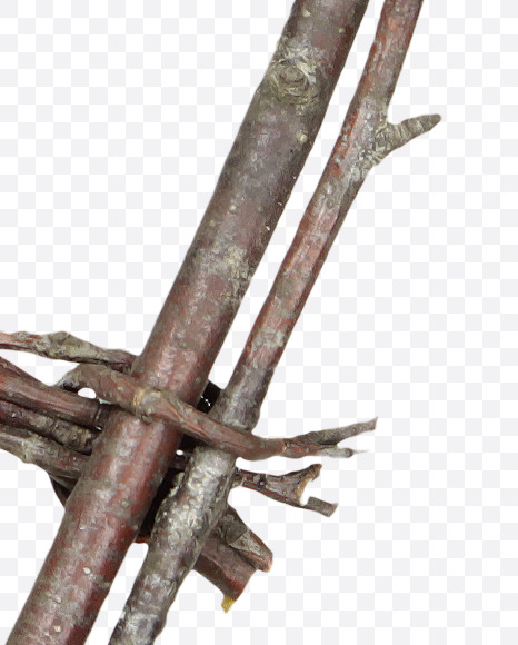 9 from Twigs Brown Font on Yellow Images Creative Fonts - S41202